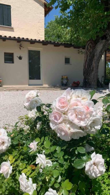 Casa Bellona Montebelluna Exterior foto